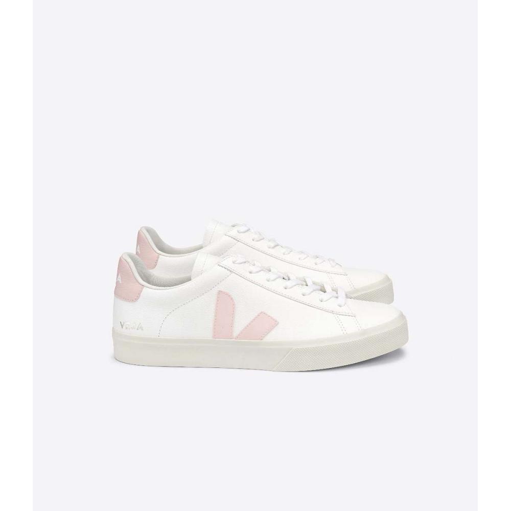 Women\'s Veja CAMPO CHROMEFREE Low Tops Sneakers White/Pink | SG 463KOR